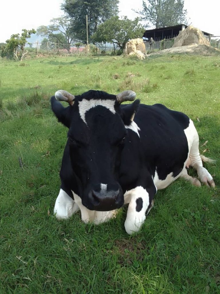 St Matthias Mbuye Agricultural College