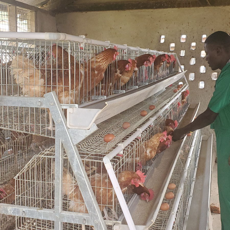 St Matthias Mbuye Agricultural College