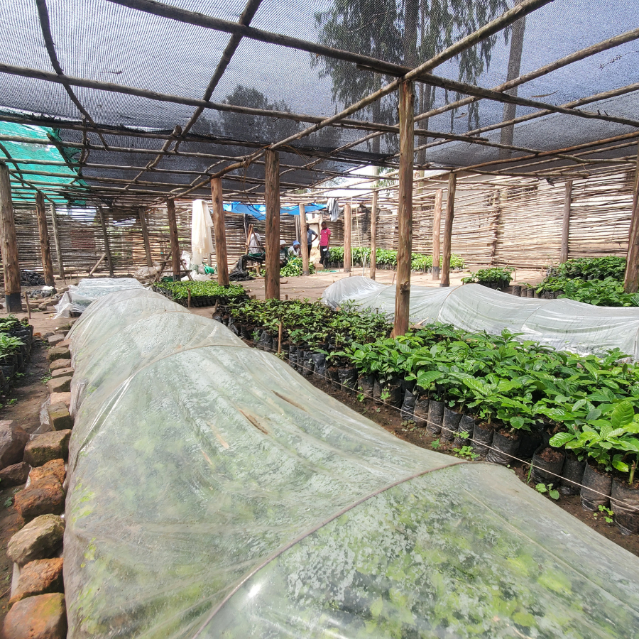 St Matthias Mbuye Agricultural College