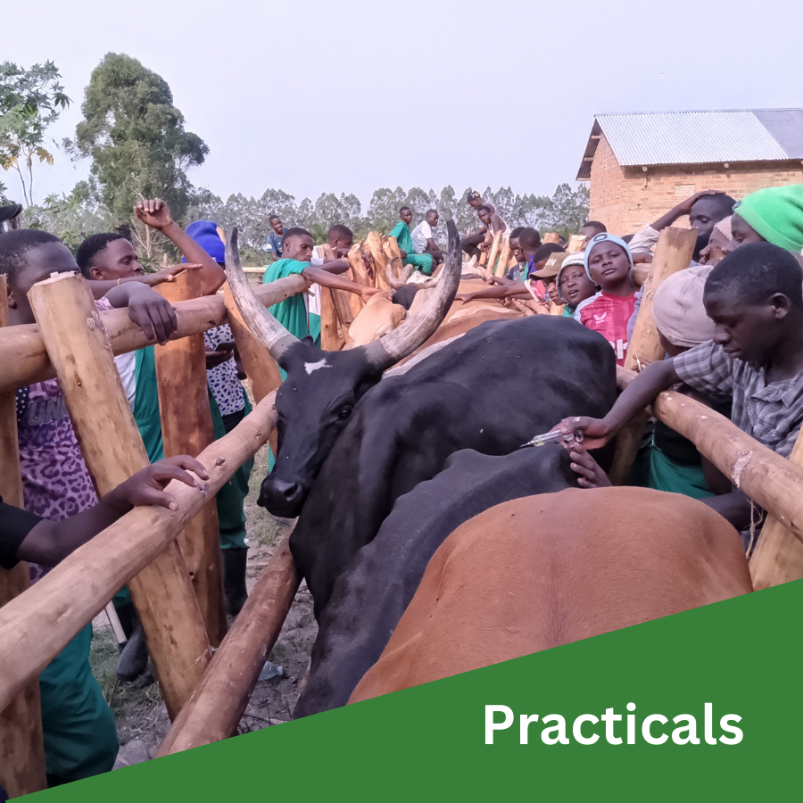St Matthias Mbuye Agricultural College